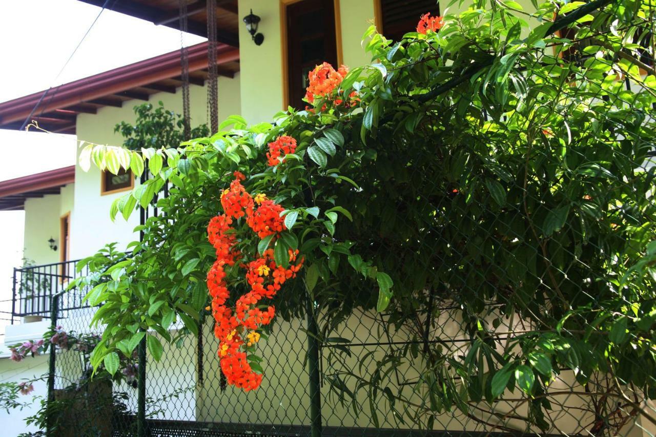 New Madara Residence Kandy Exterior foto